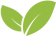 ikona